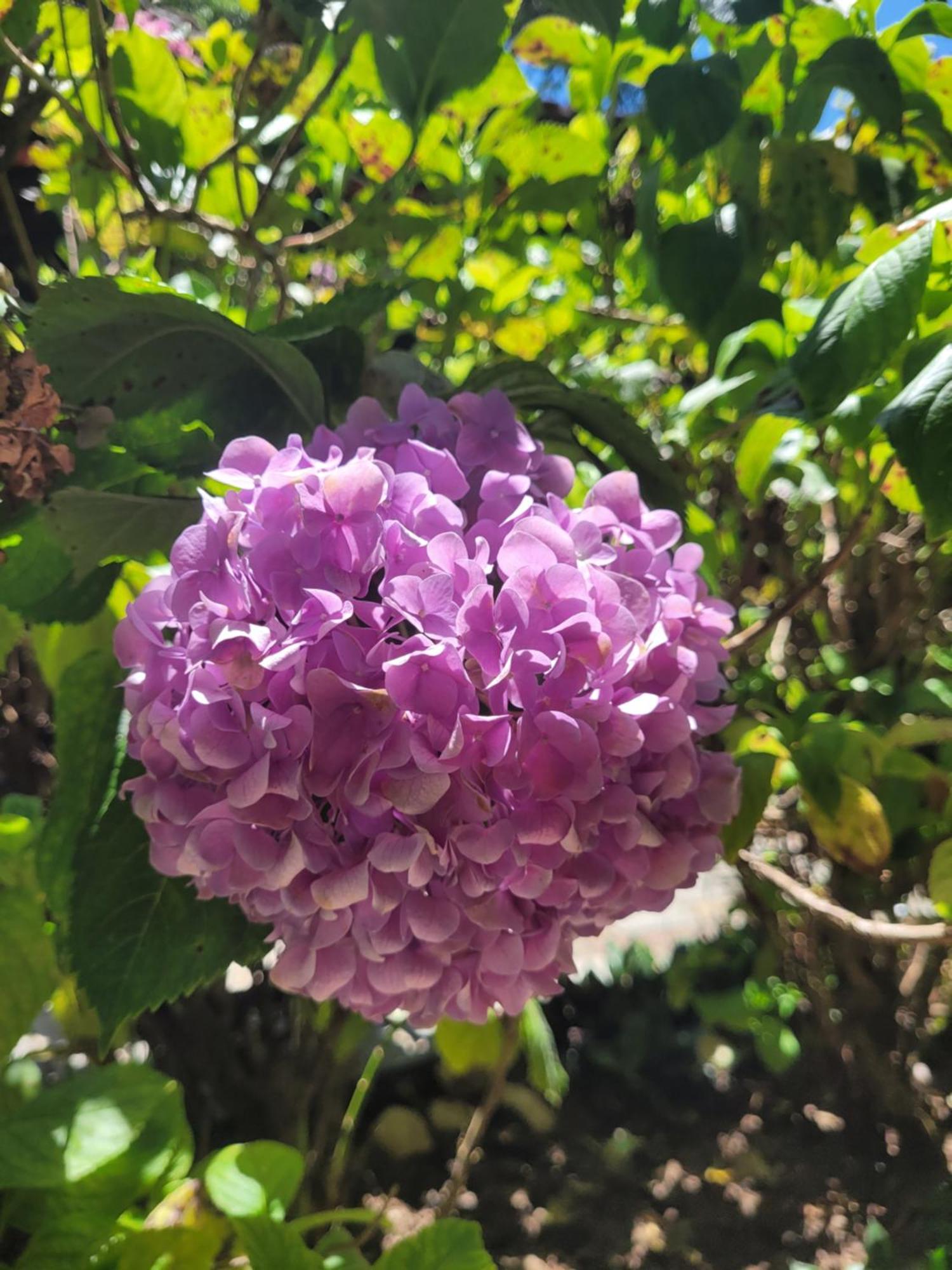 Fazenda Hotel Alvorada Santos Dumont Dış mekan fotoğraf